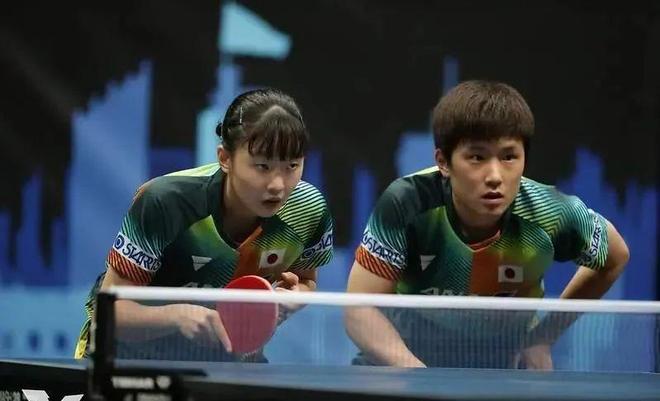 的适应性 的适应性